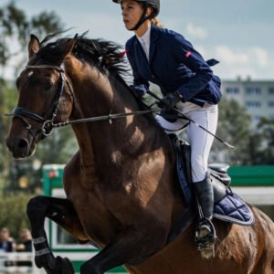 Horse Riding Range