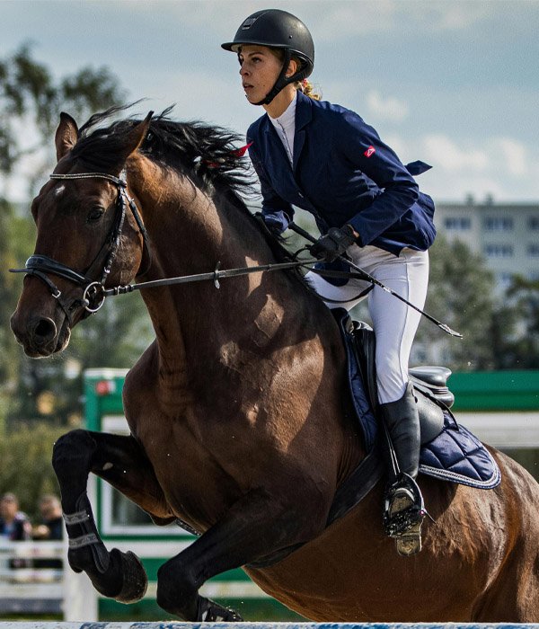 Horse Riding Range