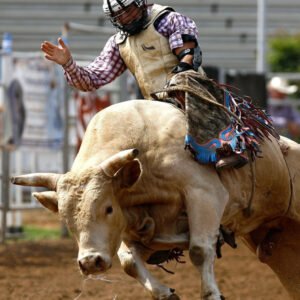 Bull Riding Range