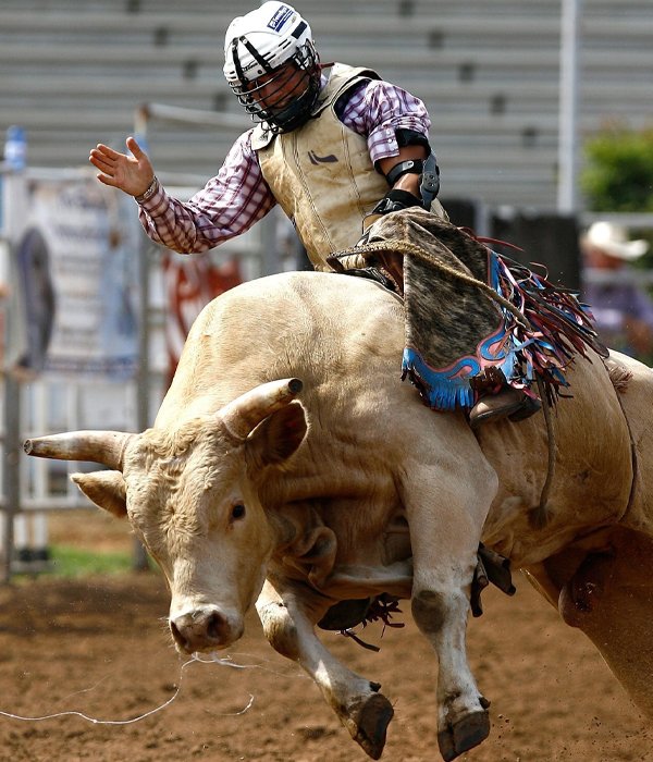 Bull Riding Range