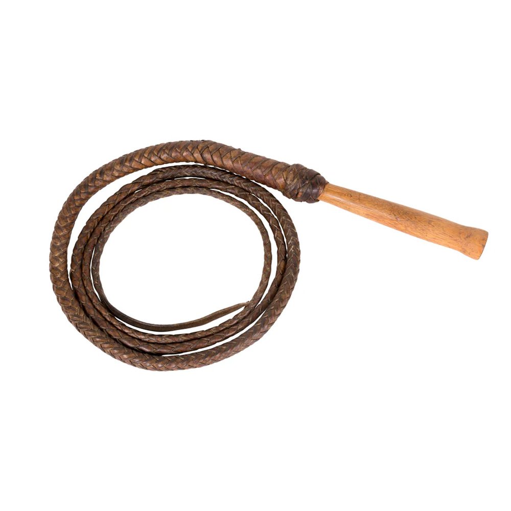 Bullwhip