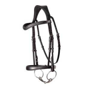 Bridle