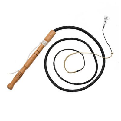 Bullwhip