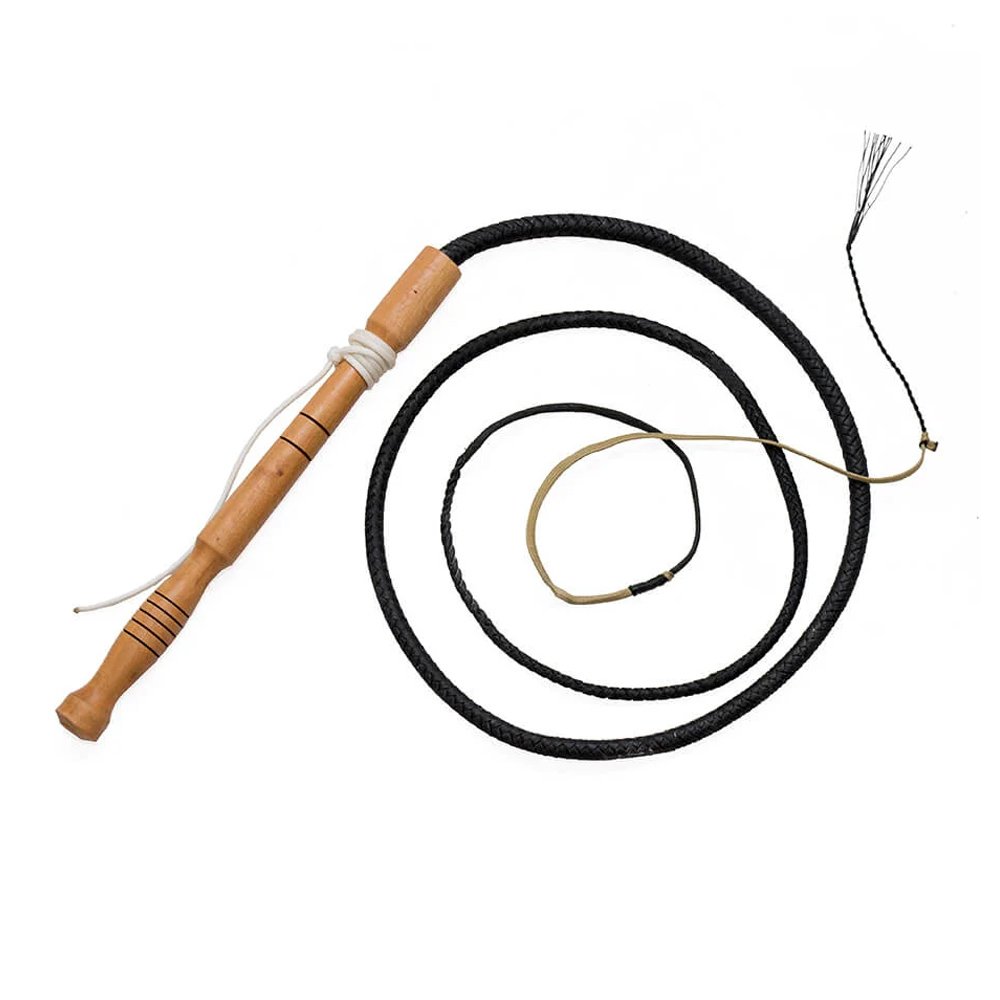 Bullwhip