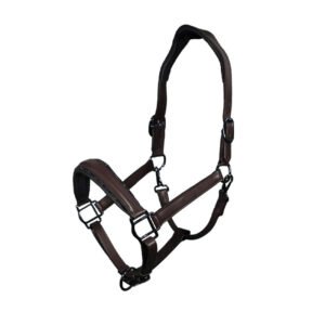 Halters 