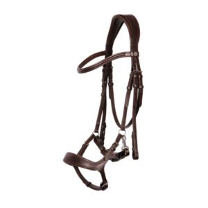 Bridle