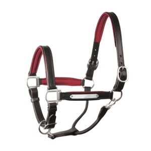 Halters 