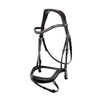 Bridle