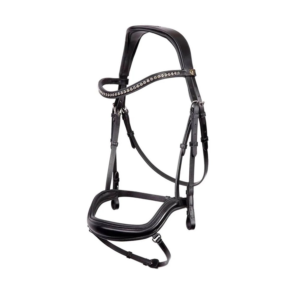 Bridle
