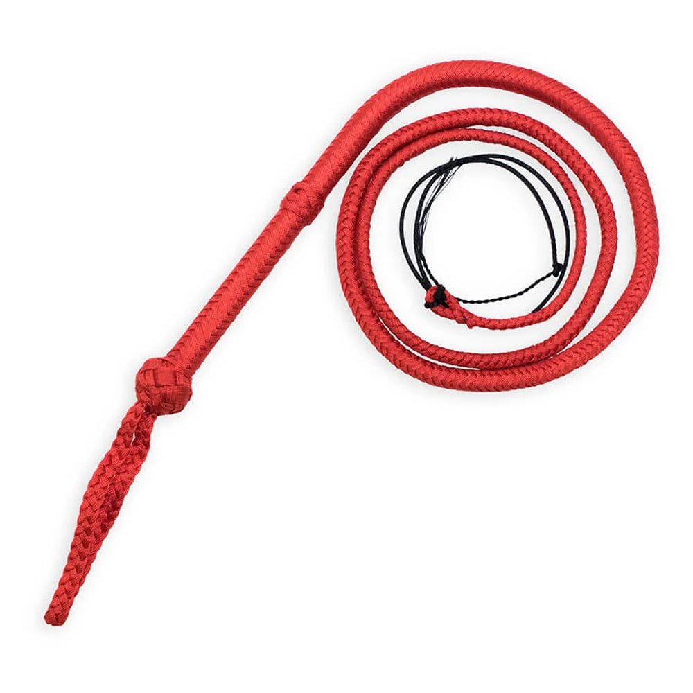 Bullwhip