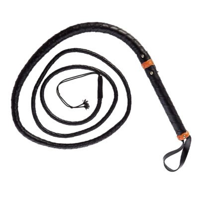 Bullwhip
