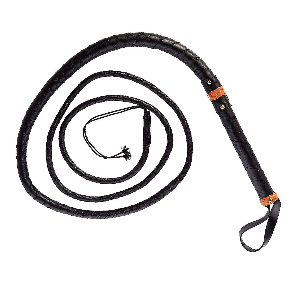Bullwhip