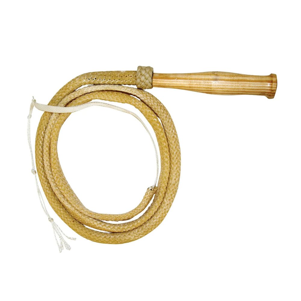 Bullwhip
