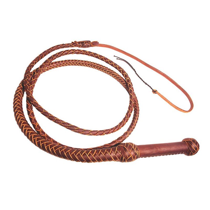 Bullwhip