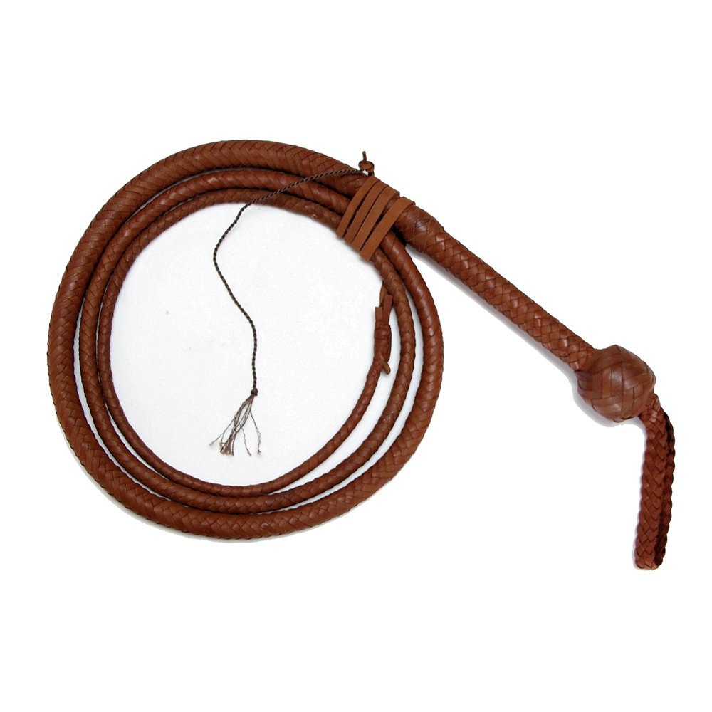 Bullwhip