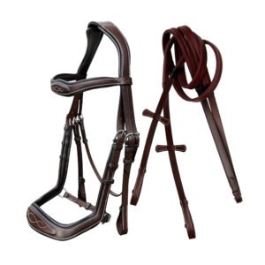 Bridle